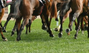 Parx racing covid test