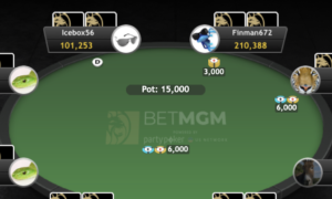 BetMGM and Borgata Make Three Online Poker Sites In PA