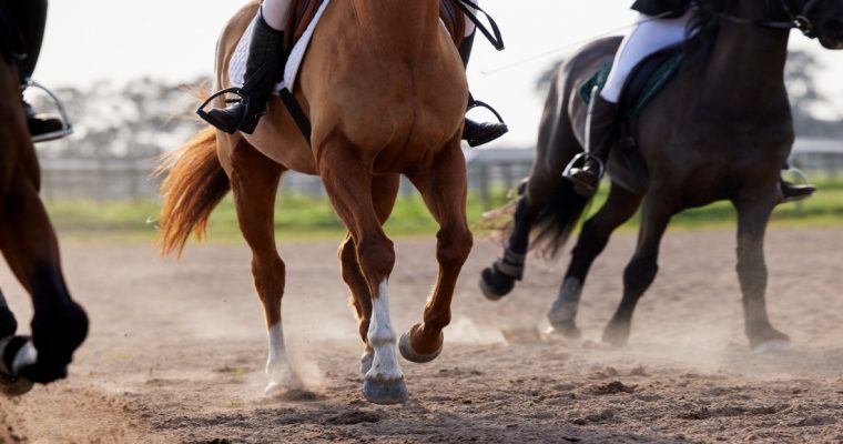 The Adios Pace field is set at Hollywood Casino at The Meadows