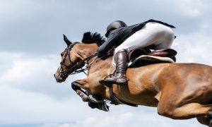 Captain Optimistic rallied from off the pace to win a $16,000
