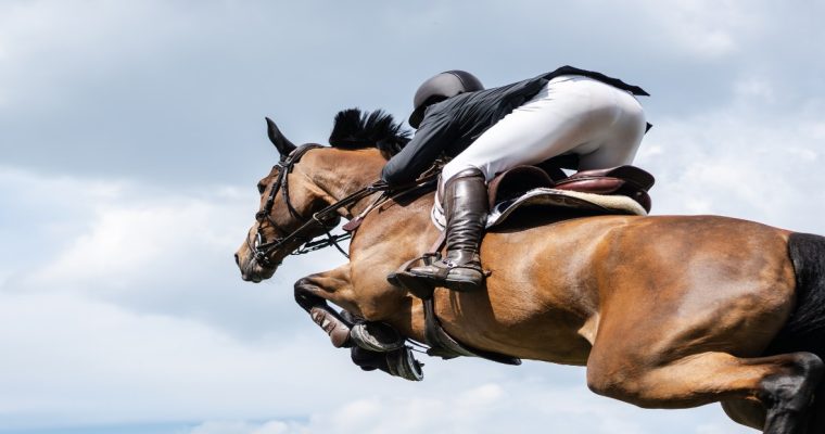 Captain Optimistic rallied from off the pace to win a $16,000