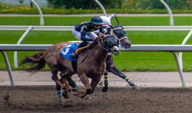 Hey Porter wins Harrah’s Philadelphia feature trot in 1:52.3