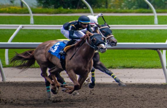 Hey Porter Battles Through Tough Trip to Win Harrah's Philadelphia Feature Trot